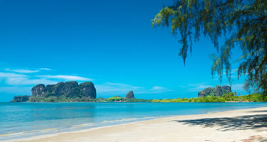 Trang Andamanensee