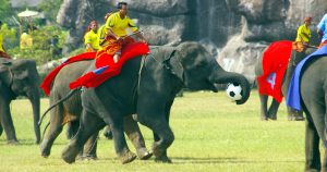 surin-olifantenfussball