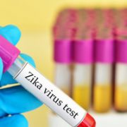 Schutz vor Zika Virus