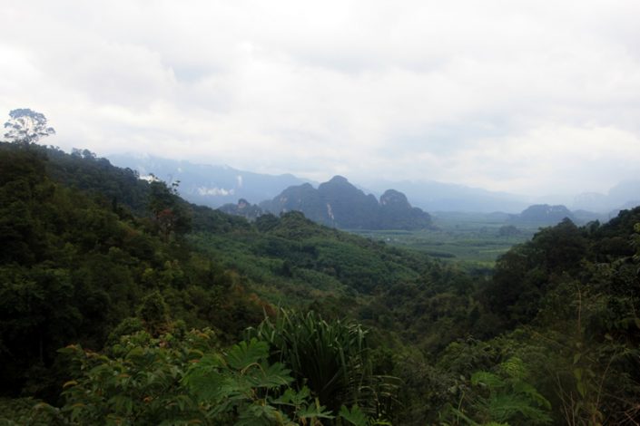 Khao Sok Nationalpark