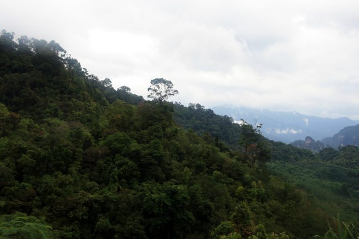 Khao Sok Nationalpark