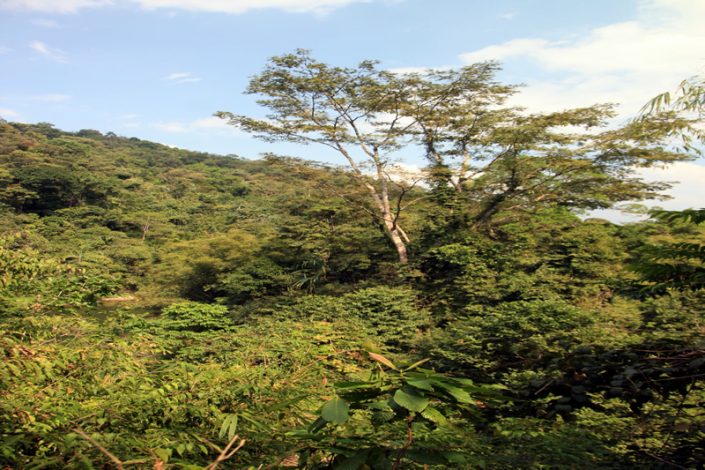 Khao Sok Nationalpark