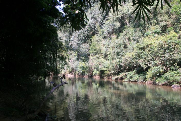 Khao Sok Nationalpark