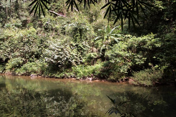 Khao Sok Nationalpark