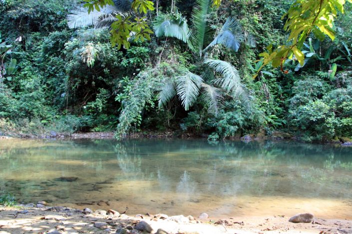 Khao Sok Nationalpark