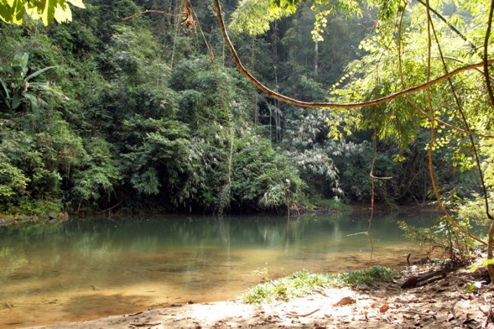 Khao Sok Nationalpark