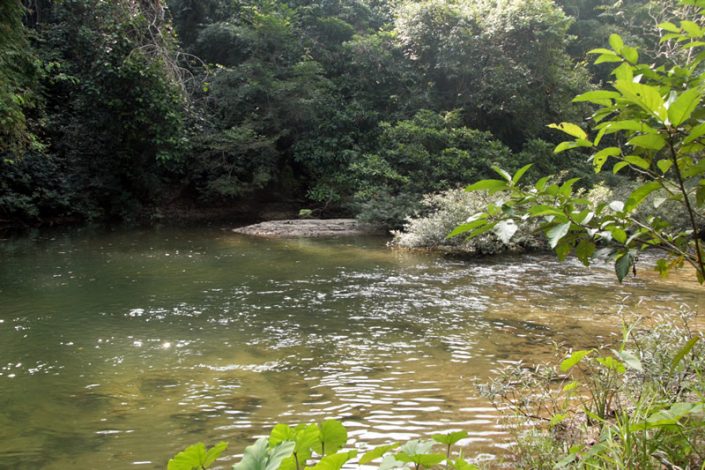 Khao Sok Nationalpark