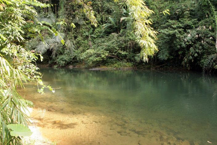 Khao Sok Nationalpark