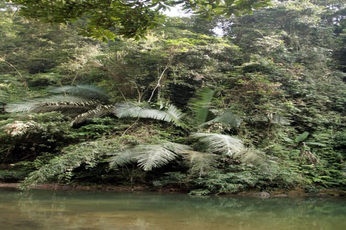 Khao Sok Nationalpark