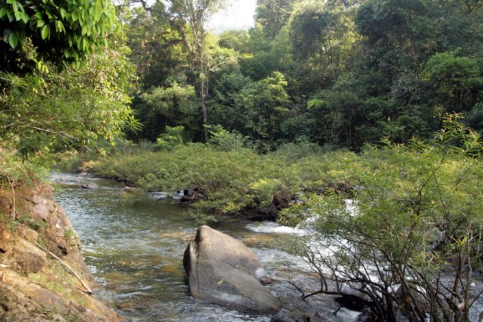 Khao Sok Nationalpark