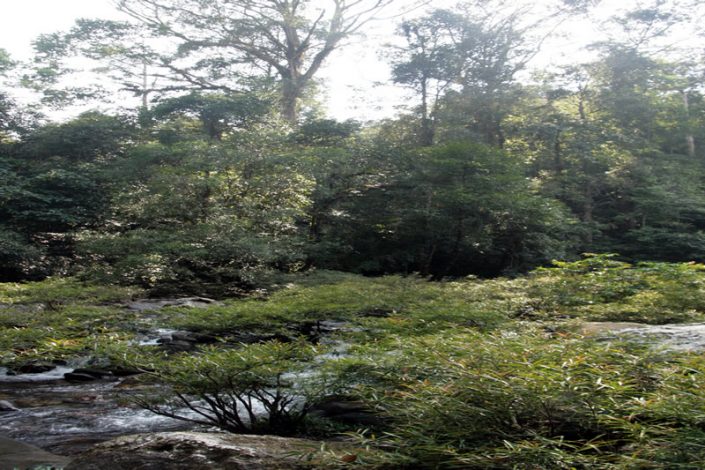 Khao Sok Nationalpark