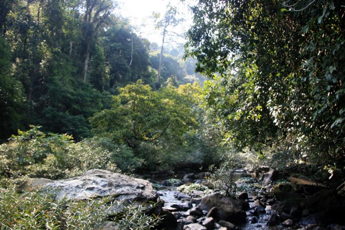 Khao Sok Nationalpark