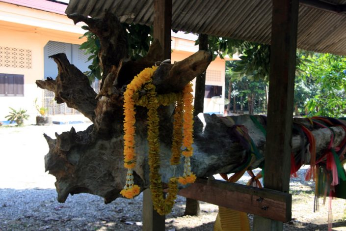 Khao Sok Tempel