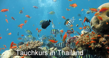 Tauchkurs in Thailand Tauchkurs in Thailand