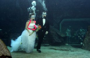 Unterwasser Hochzeit Trang