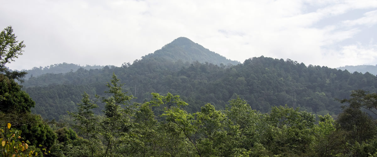 Doi Phu Kha Nationalpark