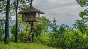 National Park Bungalow im Dschungel 