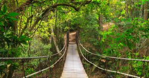 Khao Yai National-Park