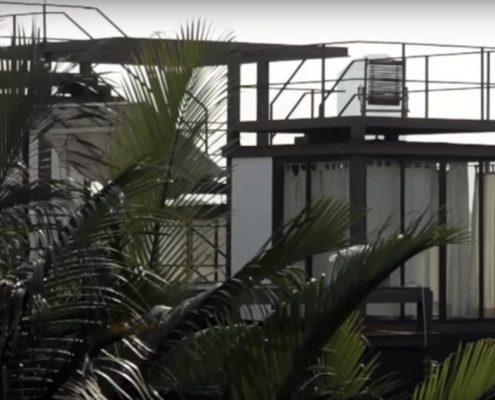 Bangkok Tree House
