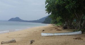 Schwimmen mit den Gabelschwanzseekühen oder Seeschweinen bei Ko Libong