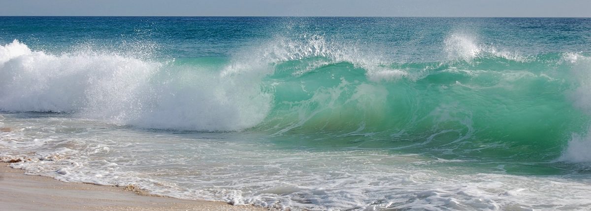 Auf der Welle mit gruenen Surfbrettern