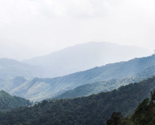 Doi Phu Kha – ein Paradies nicht nur für Botaniker