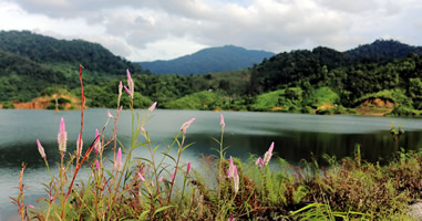 Pause in Ranong