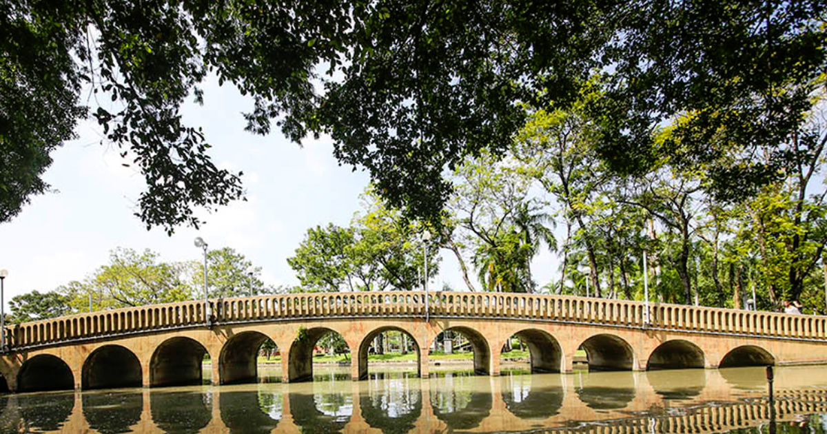 Chatuchak Park