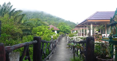 Khao Sok Jungle Huts