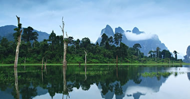 Khao Sok Nationalpark