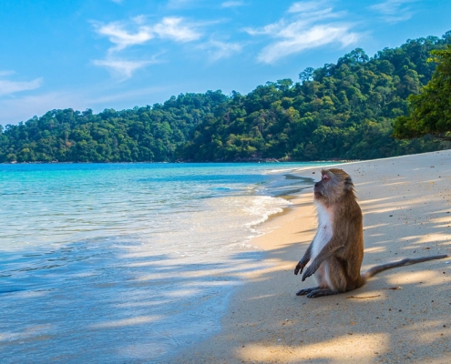 Strandurlaub in Thailand Geheimtipps für den Trip ins Paradies