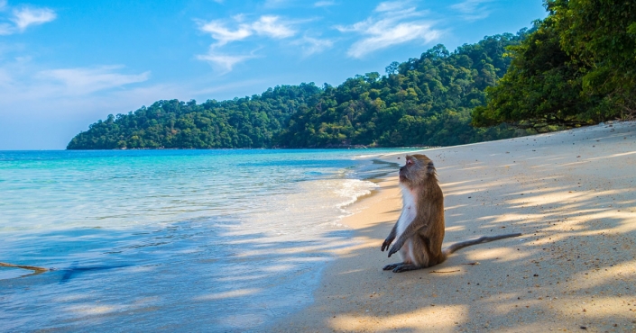 Strandurlaub in Thailand Geheimtipps für den Trip ins Paradies Strandurlaub in Thailand Geheimtipps für den Trip ins Paradies