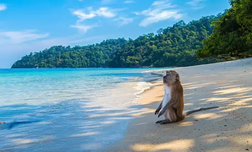 Strandurlaub in Thailand Geheimtipps für den Trip ins Paradies