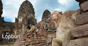 Lopburi Thailand