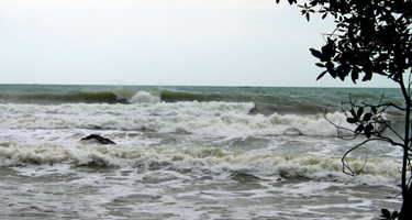 Surfen während der Regenzeit