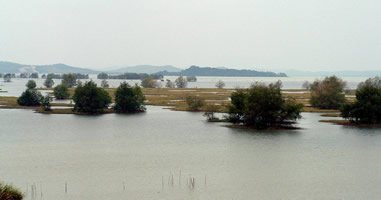 Khokkuk Tale Sahp Nakhon Si Thammarat 