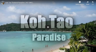 Videos Koh Tao Thailand