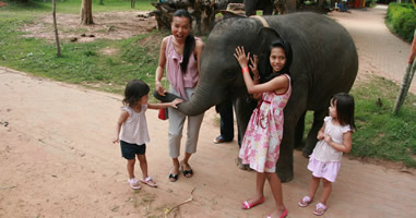 Besuch der Elefantenstadt