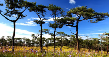 Landschaft Uttaradit