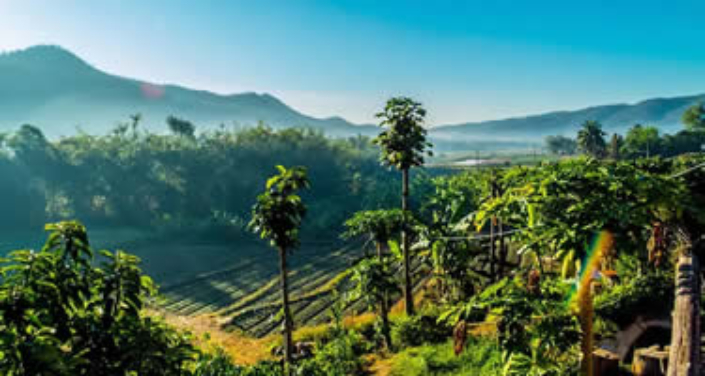 Der Norden Thailands