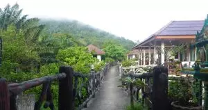 Khao Sok Jungle Huts - Hotel