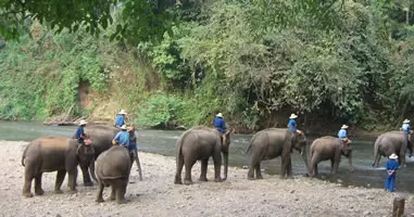 Reisetipp Elefantencamp Chiang Mai